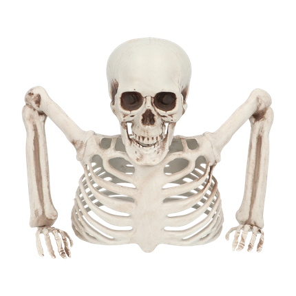 Skelett, das aus dem Boden ragt, 20 cm – Halloween-Dekoration