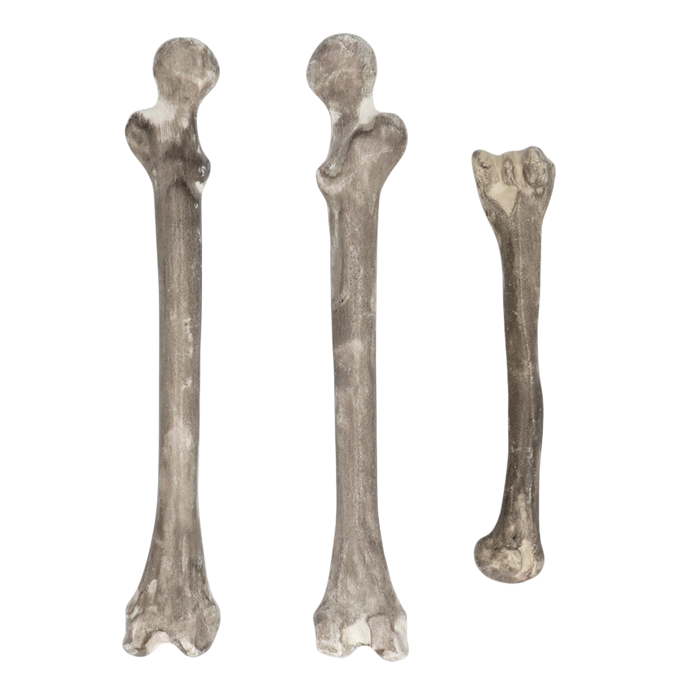 6er-Set Totenköpfe und Knochen – Halloween-Dekoration