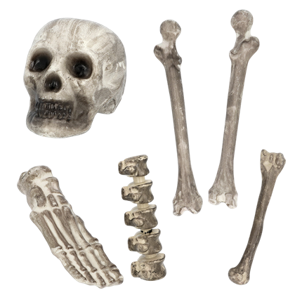 6er-Set Totenköpfe und Knochen – Halloween-Dekoration