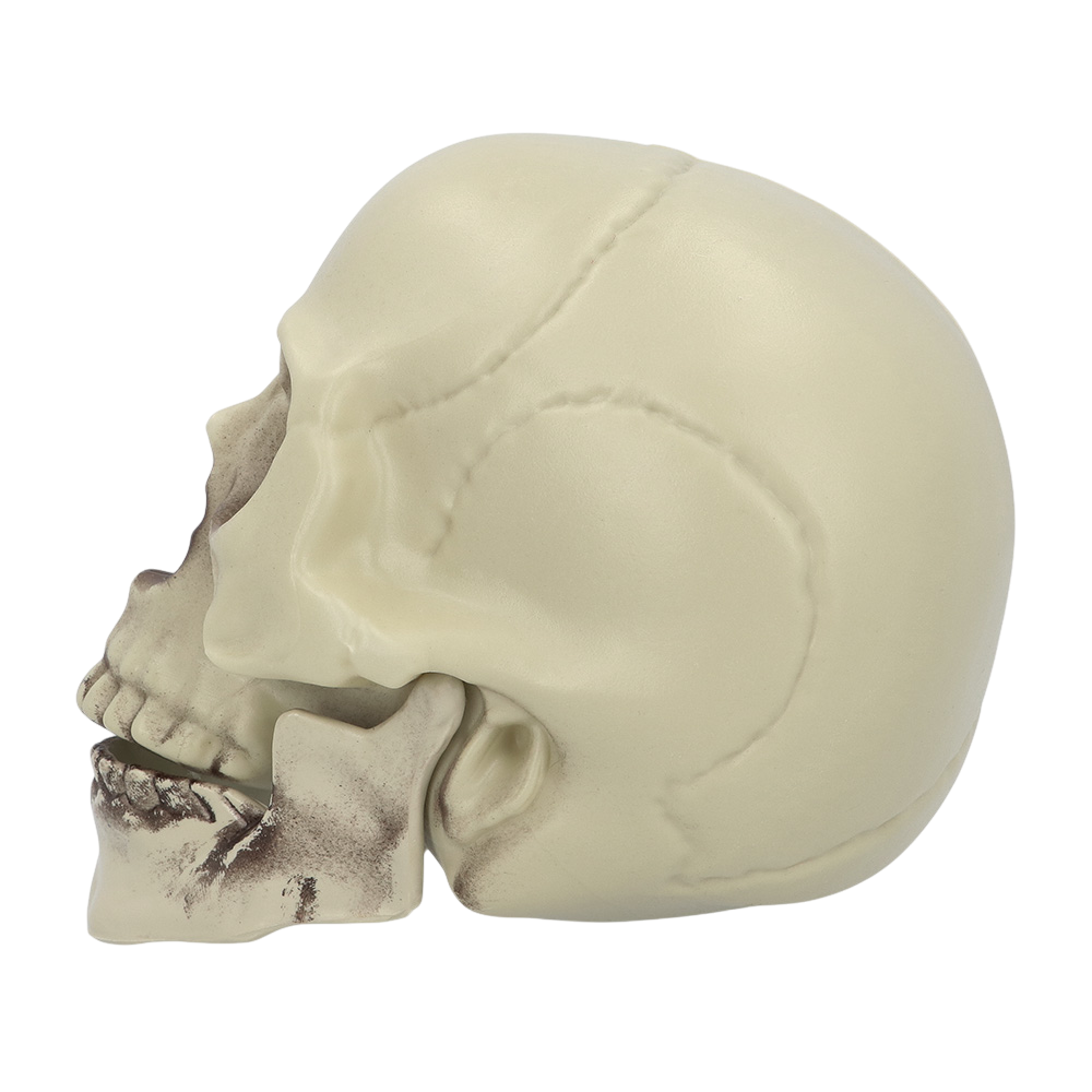 Dekorativer Totenkopf 15 x 20 x 16 cm – Halloween