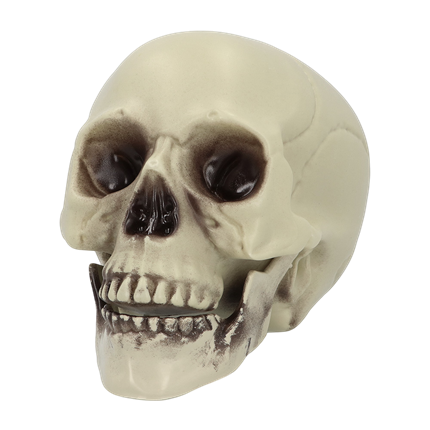 Dekorativer Totenkopf 15 x 20 x 16 cm – Halloween