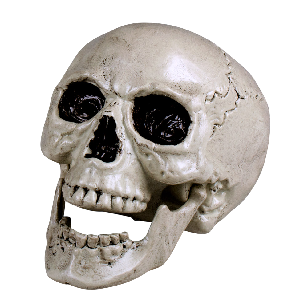 Weißer Totenkopf mit beweglichem Kiefer, 24 cm – Halloween-Dekoration