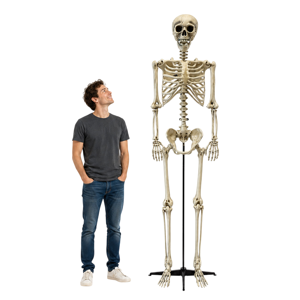 Riesiges Skelett, 240 cm – Halloween-Dekoration