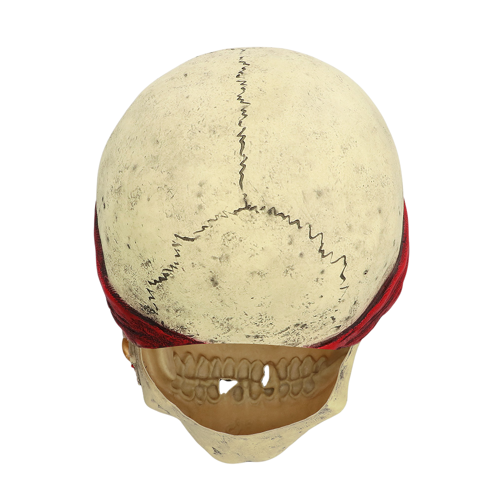 Latex-Piratenmaske – Halloween-Kostüm