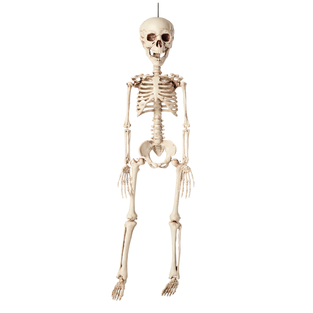 Hängendes Skelett, 40 cm – Halloween-Dekoration