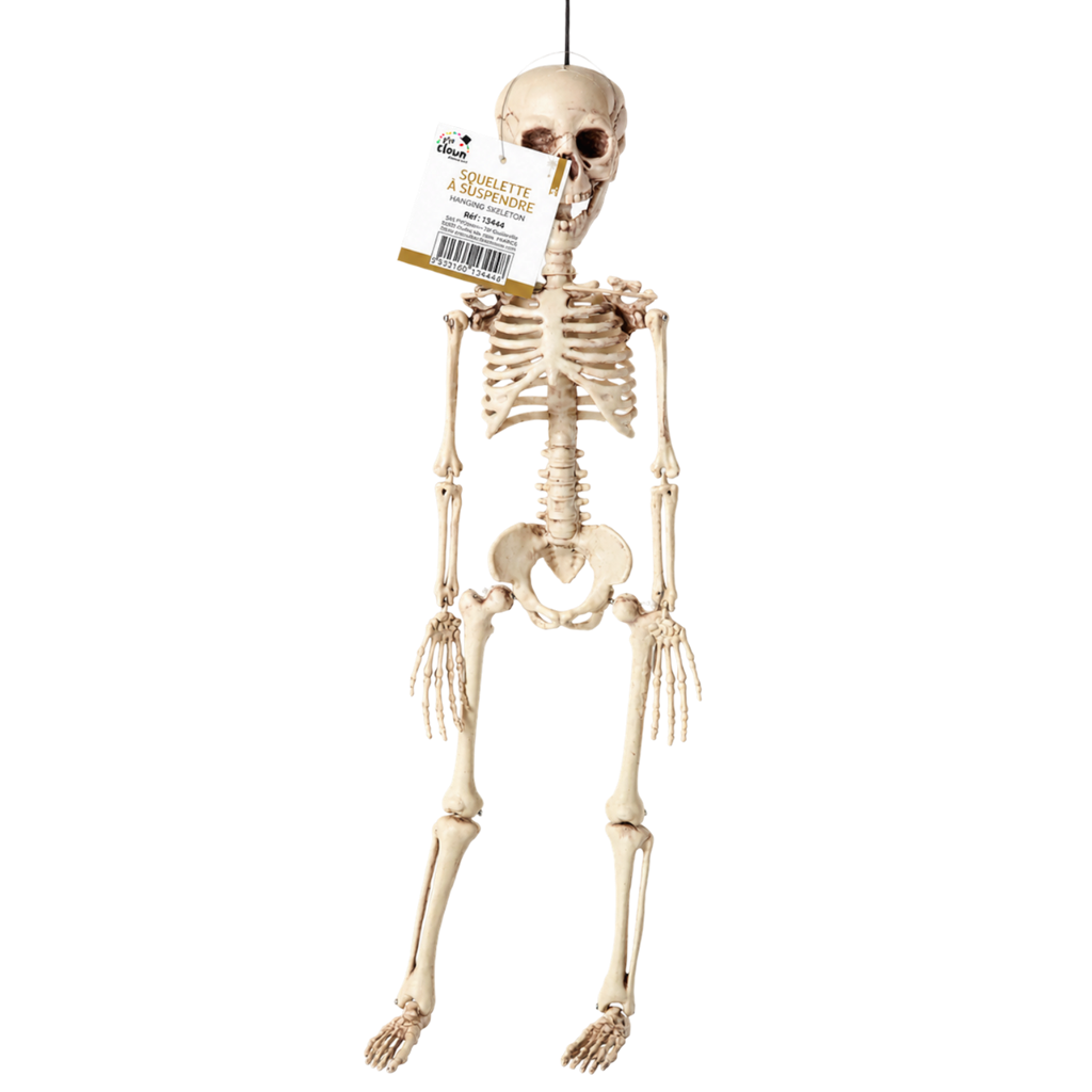 Hängendes Skelett, 40 cm – Halloween-Dekoration